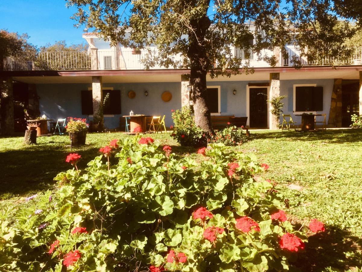 Agriturismo Pranu Sorgono Exterior photo